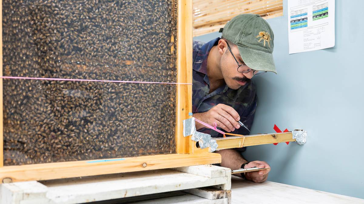 Hasim Hakanoglu Hasim Hakanoglu