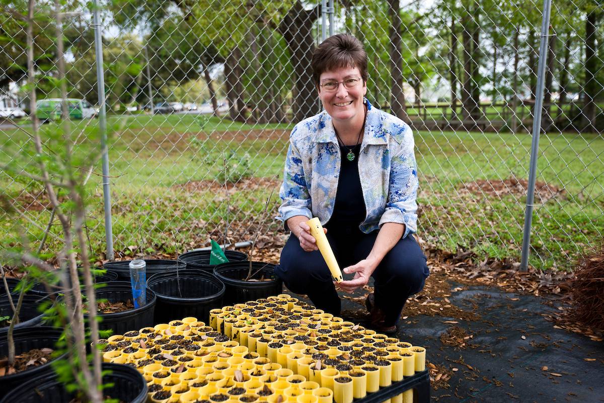 Pam Blanchard Pam Blanchard