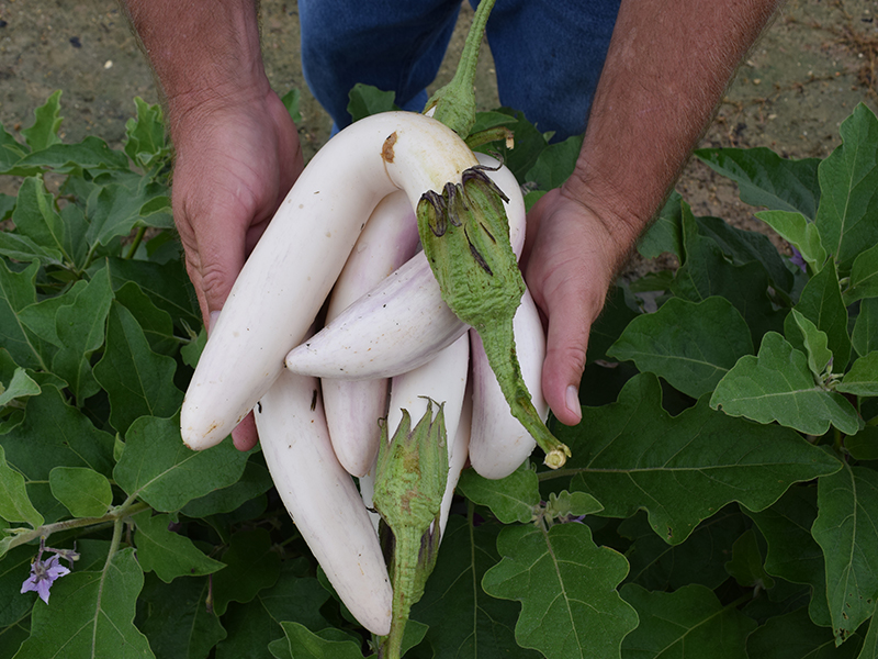 man holding squash