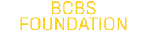 bcbs foundation