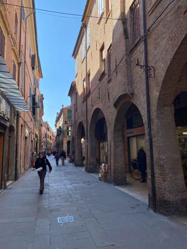 A street in ferrara