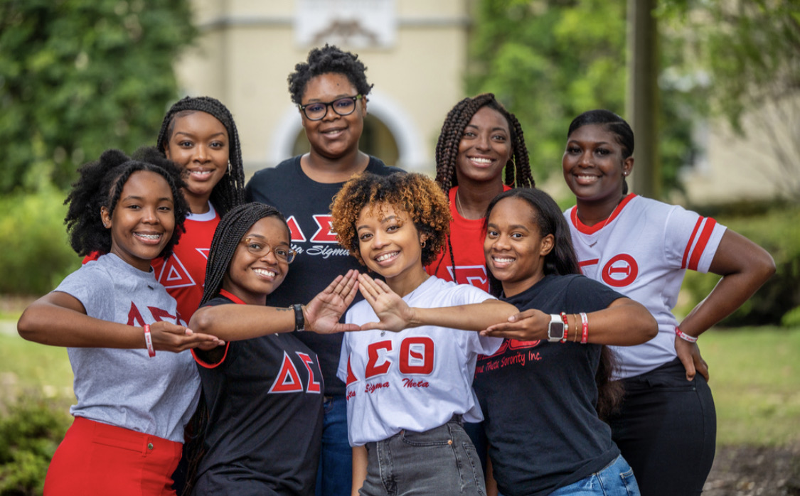 delta sigma theta members