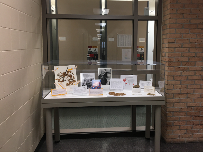 herbarium display