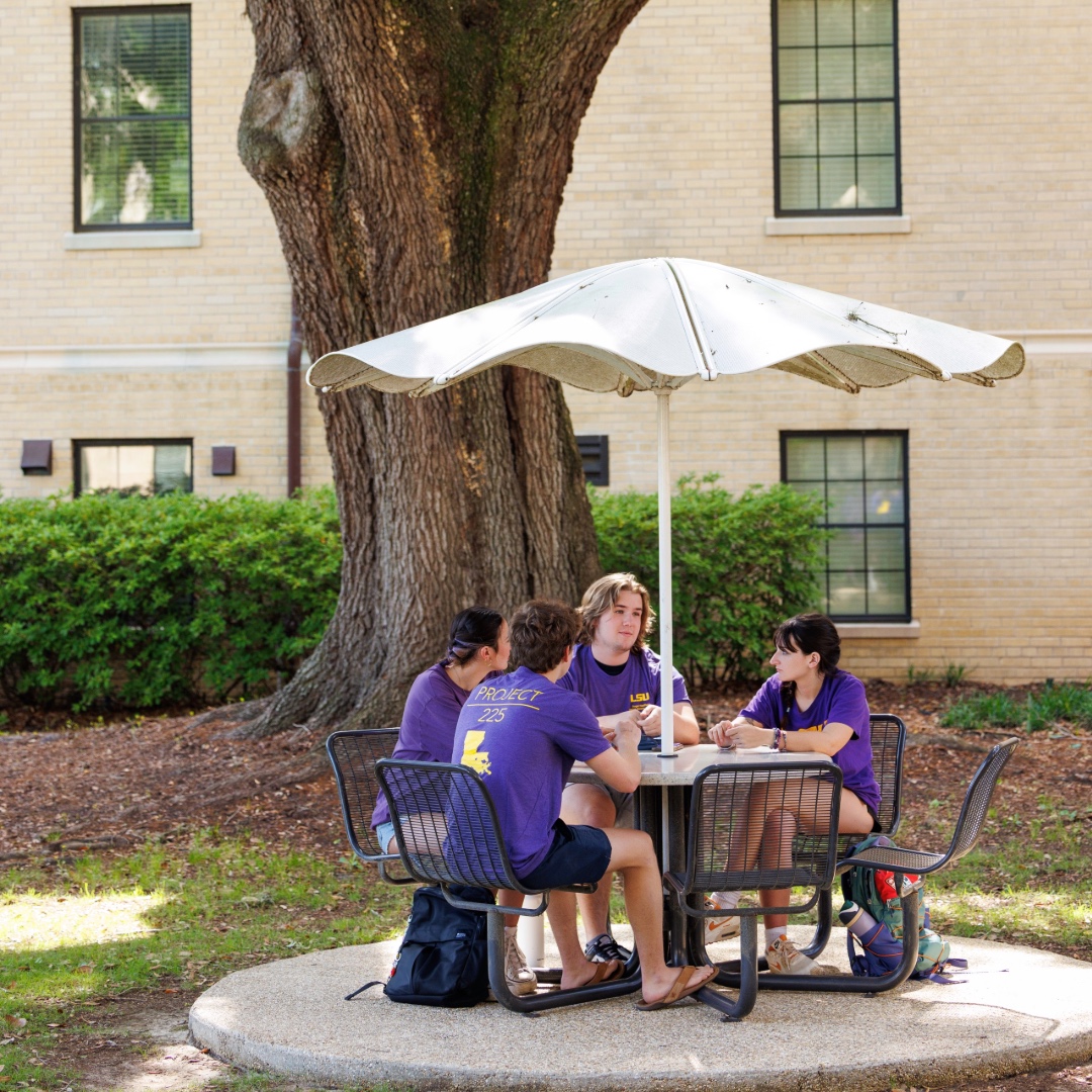 Photo of students sitting outside of Laville