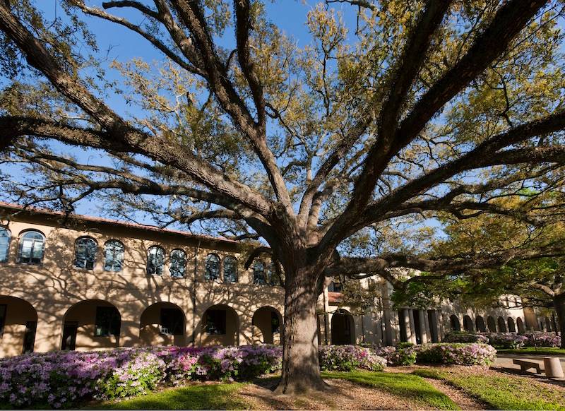 Himes Hall on the LSU Quadrangle