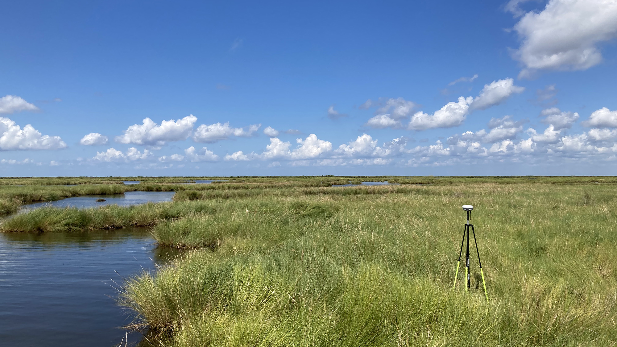 Louisiana wetlands