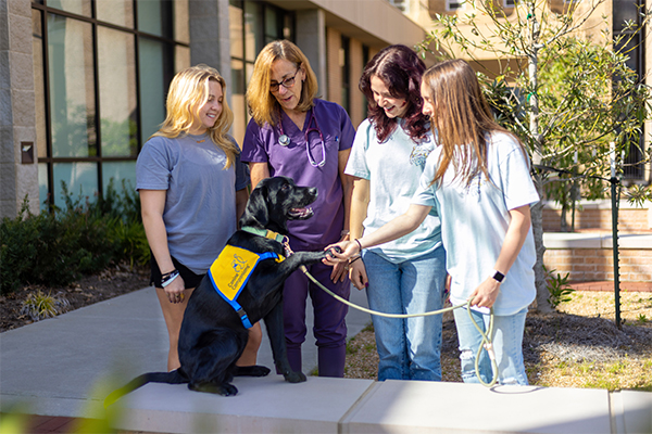 step-group Dr. Welborn with students and Tonic, a dog being trained